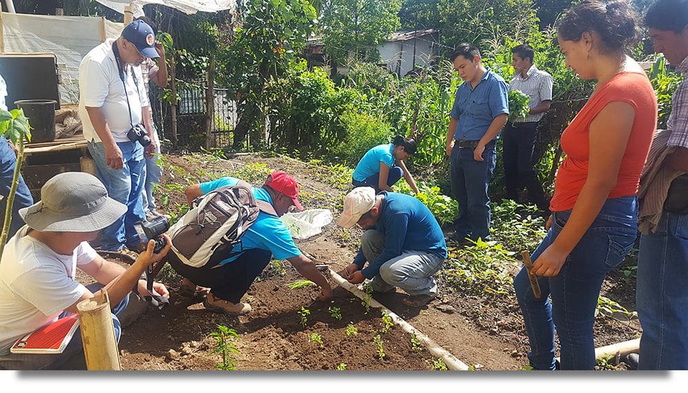 Photo of a new, and sustainable permaculture garden being planted.