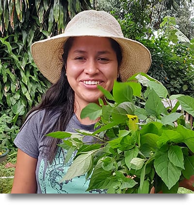 Another Successful Permaculture Garden in Rural Guatemala