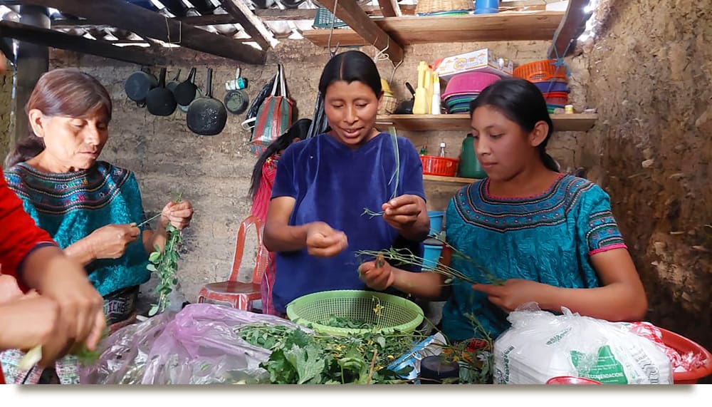 Kitchens and Nutrition Quatemala-3