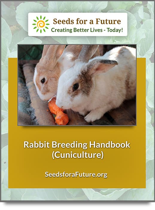 Rabbit Breeding Site Cover WH