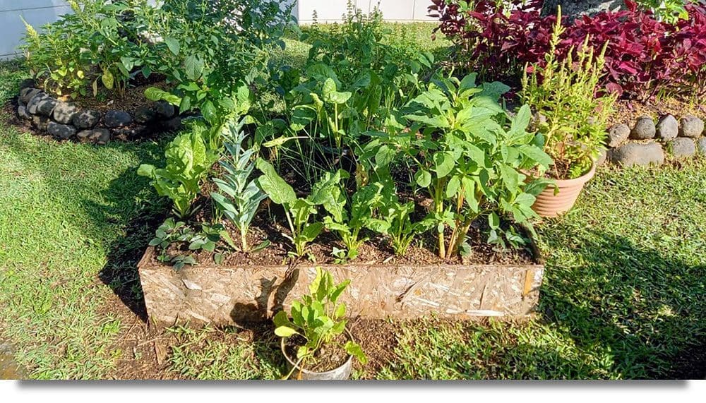 Raised Garden Bed Example Blog