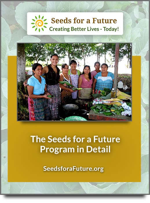 A photo of the cover page for the Program in Detail PDF, which describes the various elements of the integrated Seeds for a Future Program.