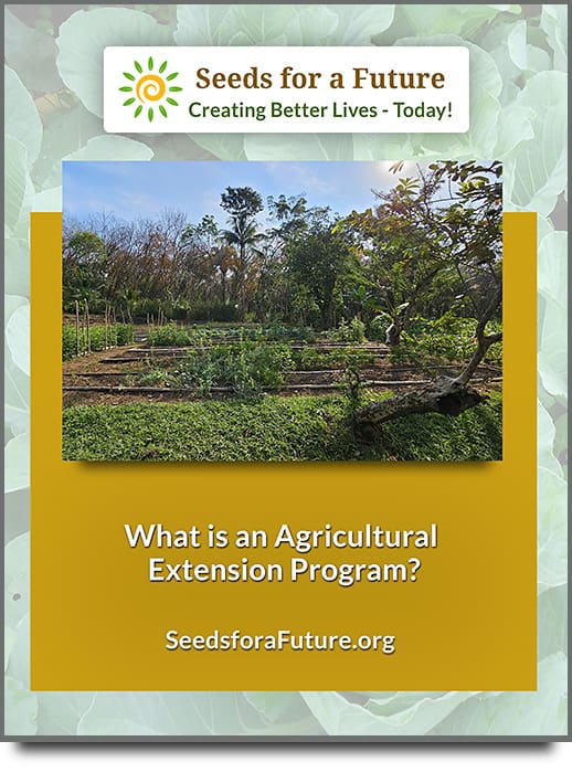 This is the title page cover for the What is an Agricultural Extension Program PDF.