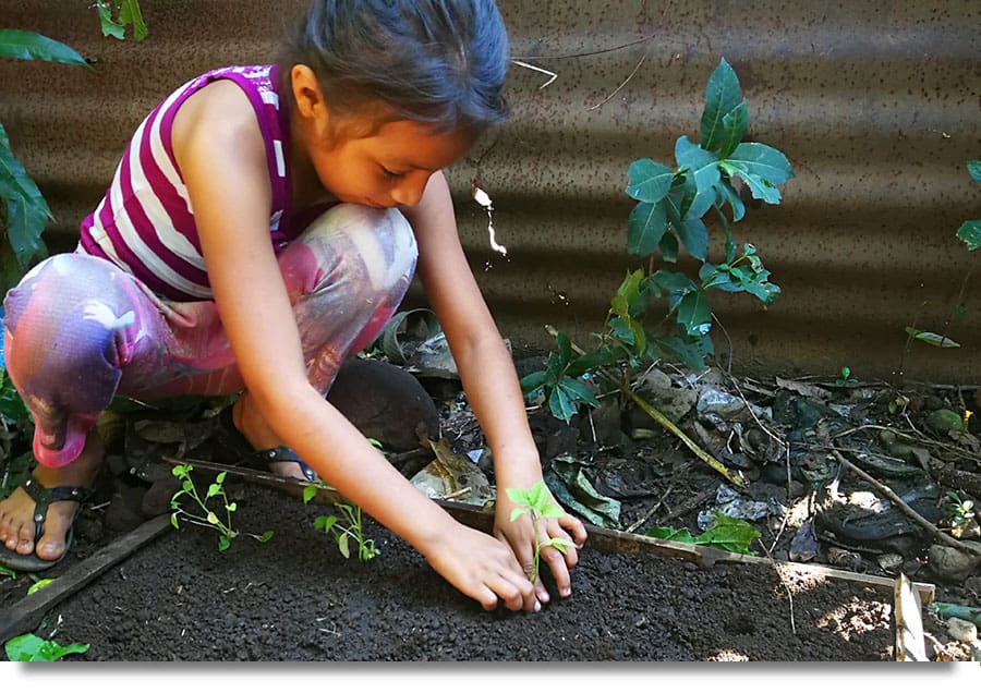 A photo of a child of program participants planting seedlings.