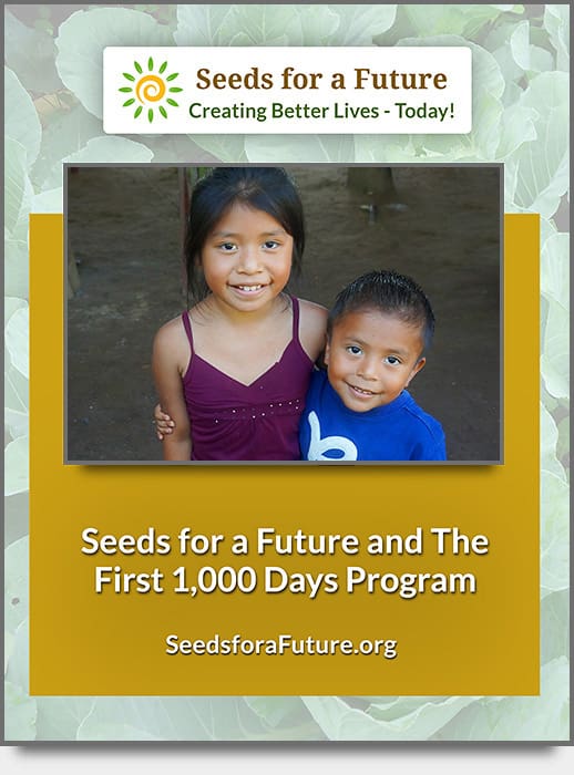 This is a photo of the cover page of The First 1,000 Days Program adopted by Seed for Future to promote the nutrition and practices for healthy mothers and infants.